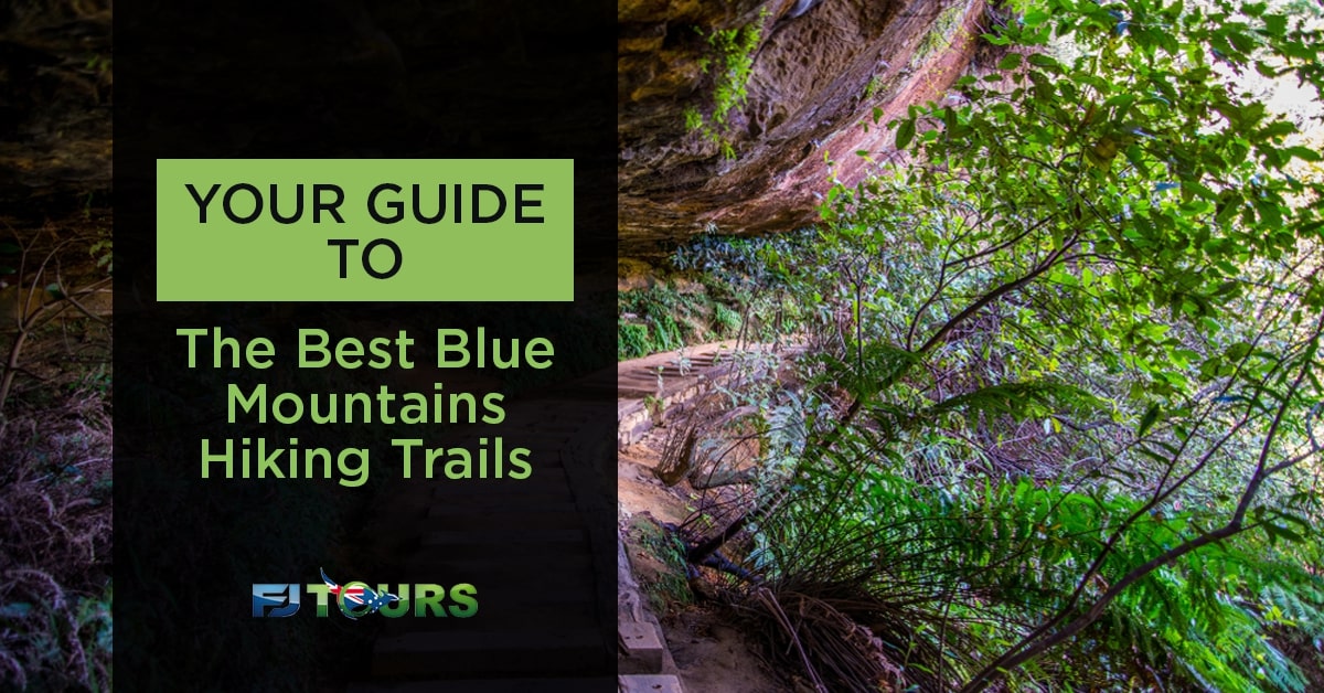 guide to the best blue mountains hiking trails