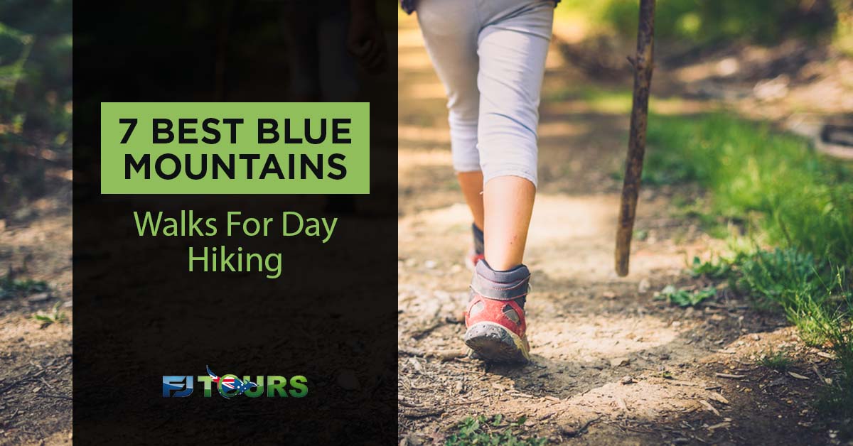 blue mountains walks for day hiking