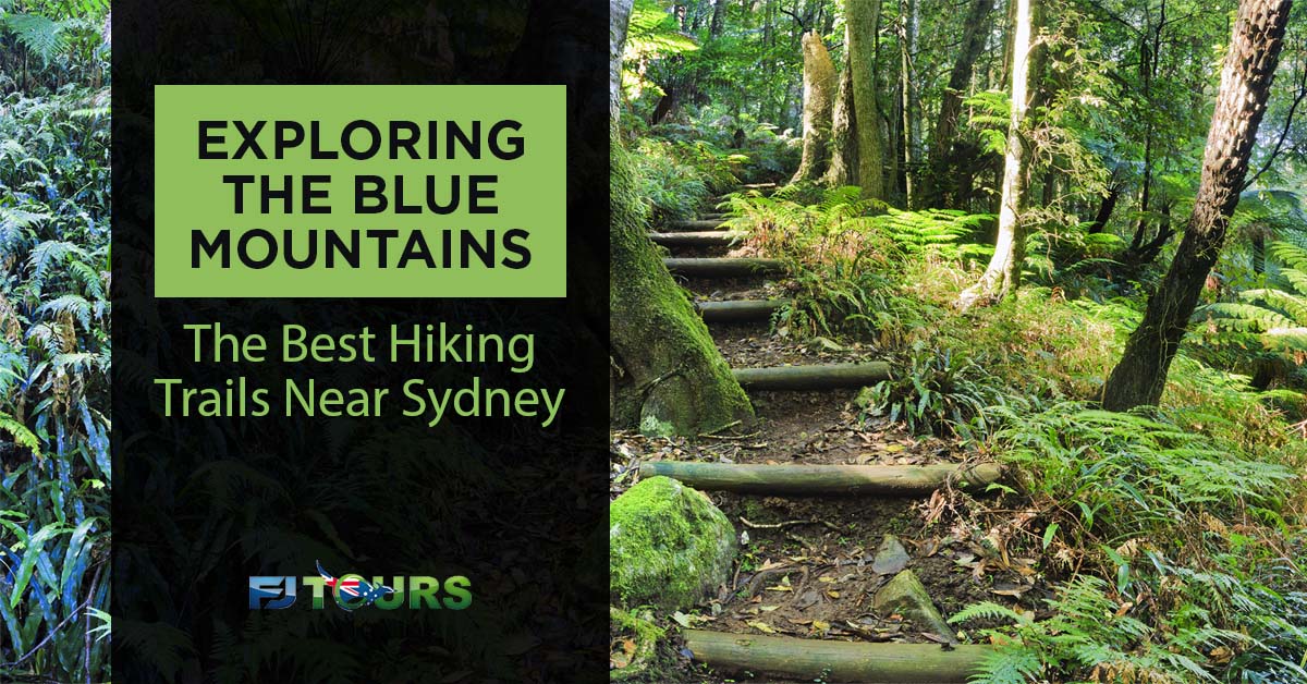 blue mountains best hiking trails
