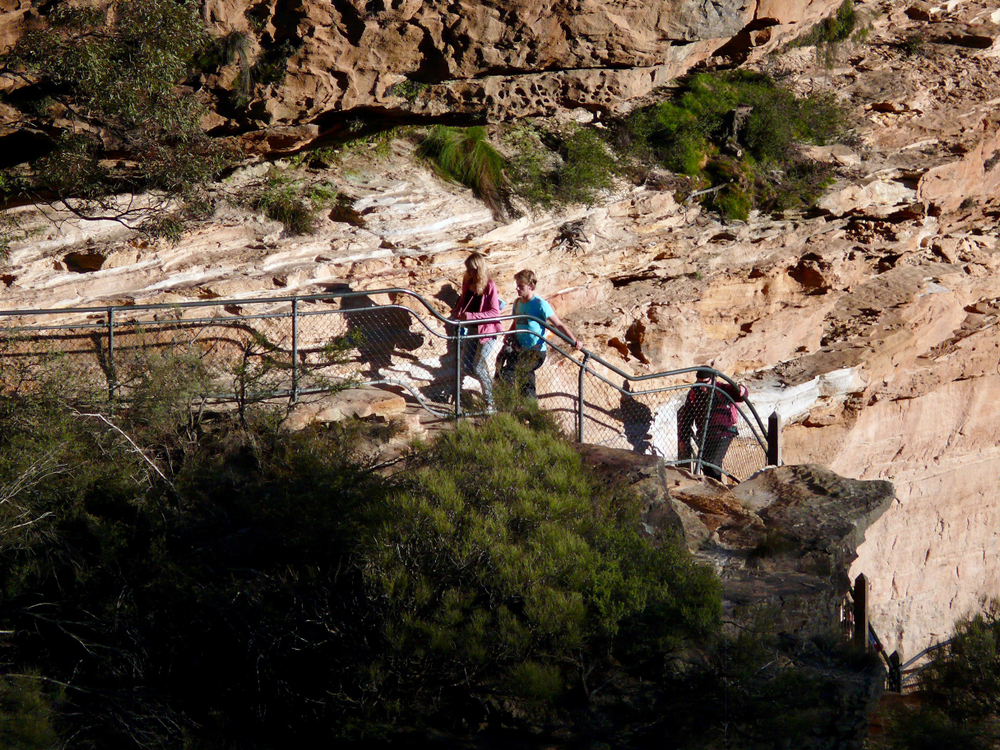 Best Hiking Trails In Blue Mountains