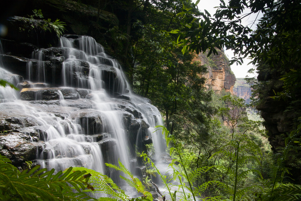 5 Best Waterfalls Blue Mountains